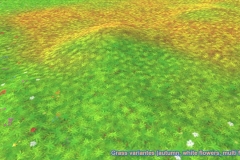 grass