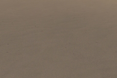 sandWet_texture