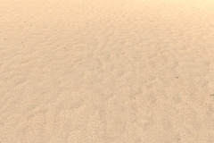 sand_texture